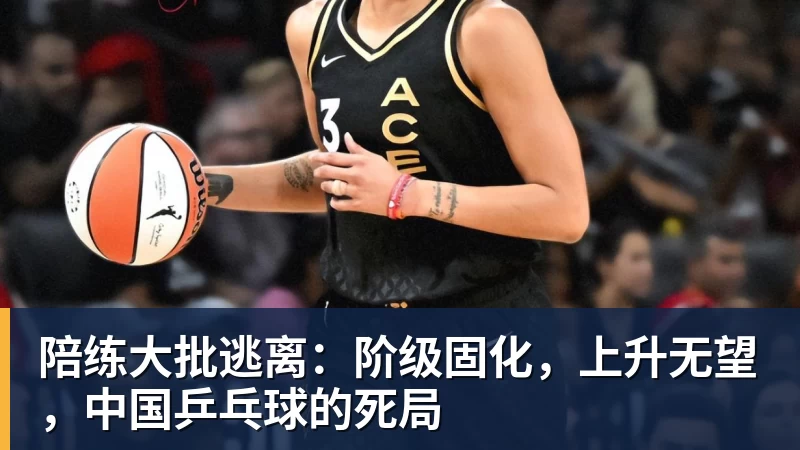 陪练大批逃离：阶级固化，上升无望，中国乒乓球的死局